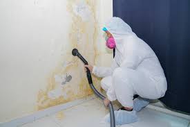 Best Mold Odor Removal Services  in Bladenboro, NC